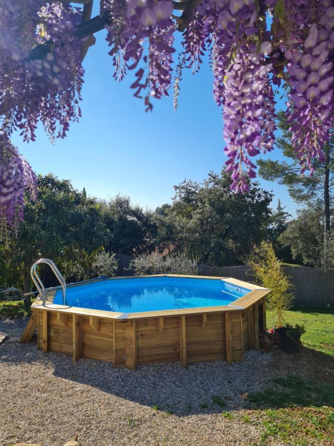 Ti'Colombier D Azur Hotel Trans-en-Provence Kültér fotó
